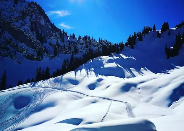 Swisshut Modern 5min West Station - Apart. Rugen 1 Vakantiehuis *