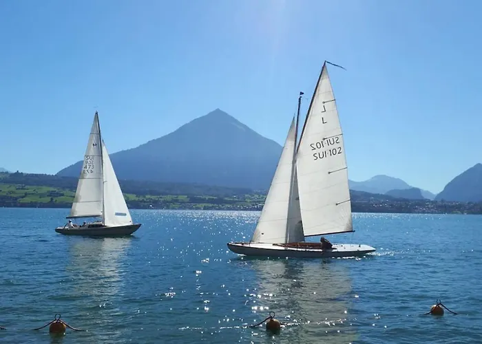Swisshut Modern 5min West Station - Apart. Rugen 1 Interlaken