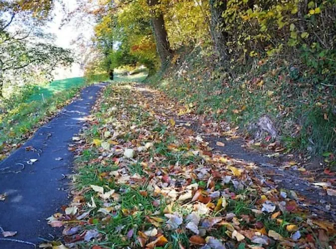 Swisshut Modern 5min West Station - Apart. Rugen 1 * Interlaken